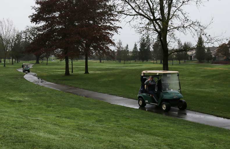 Golf Cart Traditional Whip